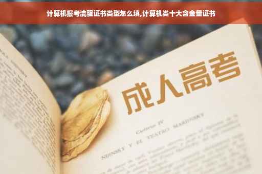 计算机报考流程证书类型怎么填,计算机类十大含金量证书