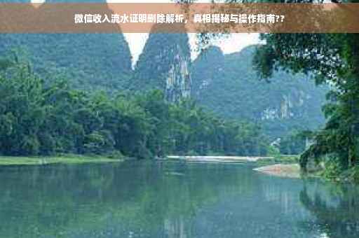 微信收入流水证明删除解析，真相揭秘与操作指南??