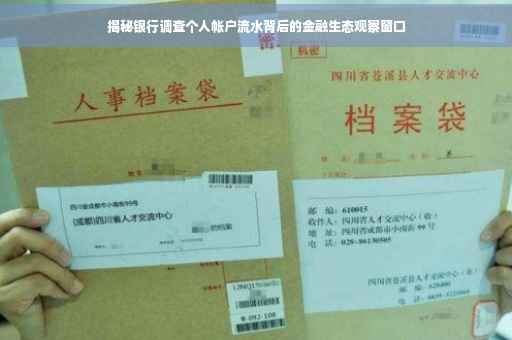 揭秘银行调查个人帐户流水背后的金融生态观察窗口
