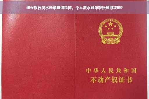 建设银行流水账单查询指南，个人流水账单轻松获取攻略?
