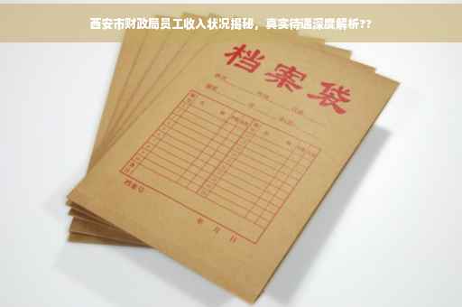 西安市财政局员工收入状况揭秘，真实待遇深度解析??