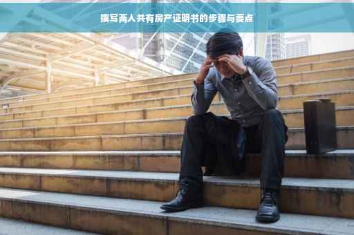 撰写两人共有房产证明书的步骤与要点