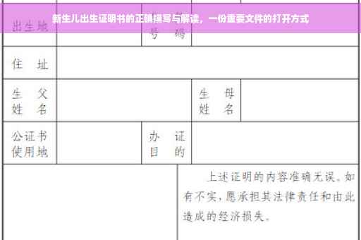 新生儿出生证明书的正确撰写与解读，一份重要文件的打开方式