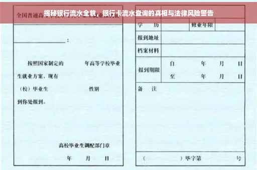 揭秘银行流水全貌，银行卡流水查询的真相与法律风险警告