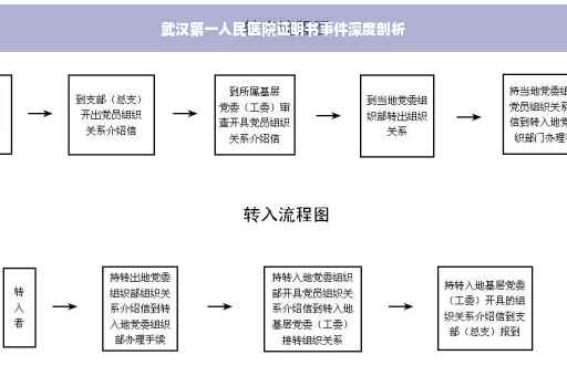 武汉第一人民医院证明书事件深度剖析