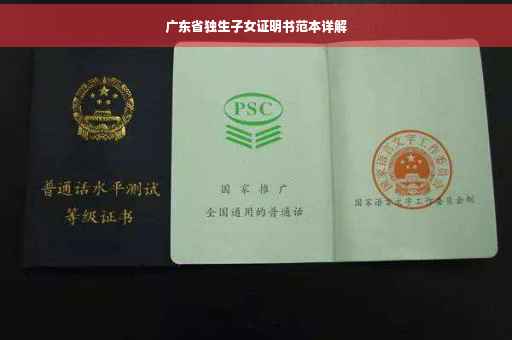 广东省独生子女证明书范本详解