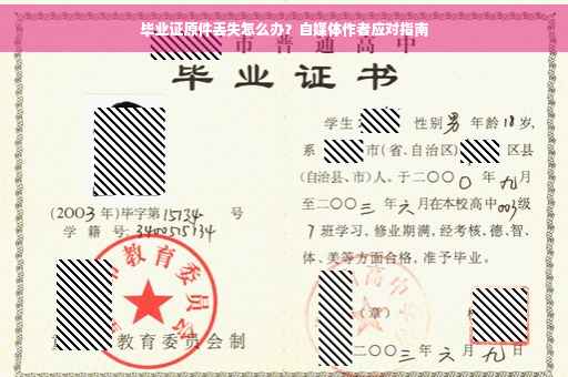 毕业证原件丢失怎么办？自媒体作者应对指南