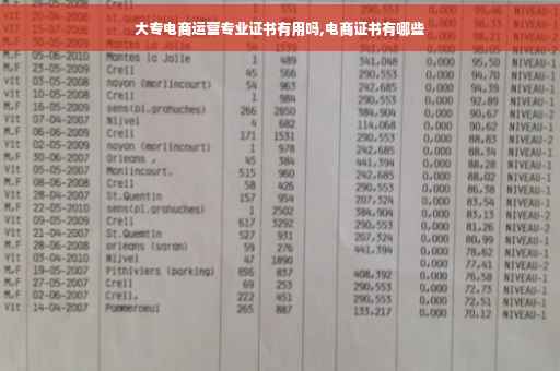 大专电商运营专业证书有用吗,电商证书有哪些
