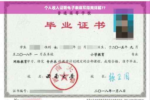 个人收入证明电子表填写指南详解??