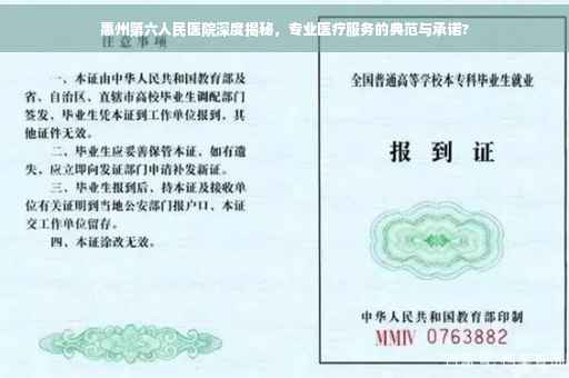 惠州第六人民医院深度揭秘，专业医疗服务的典范与承诺?