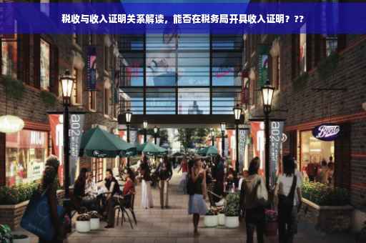 税收与收入证明关系解读，能否在税务局开具收入证明？??