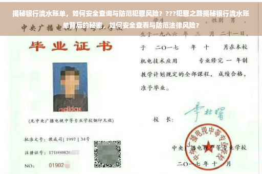 揭秘银行流水账单，如何安全查询与防范犯罪风险？???犯罪之路揭秘银行流水账单背后的秘密，如何安全查看与防范法律风险？