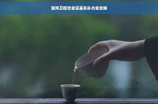 宝鸡卫校毕业证丢失补办全攻略