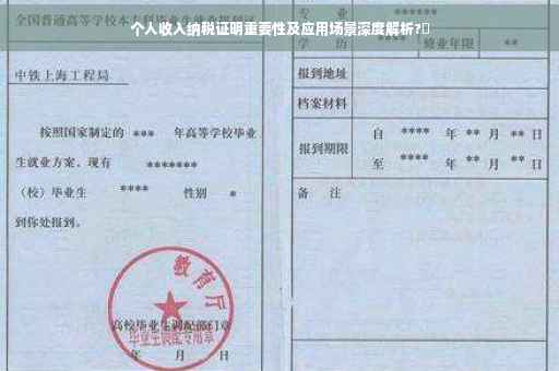 个人收入纳税证明重要性及应用场景深度解析?✨