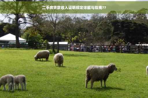 二手房贷款收入证明规定详解与指南??