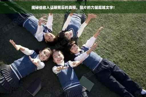 揭秘低收入证明背后的真相，图片的力量超越文字！