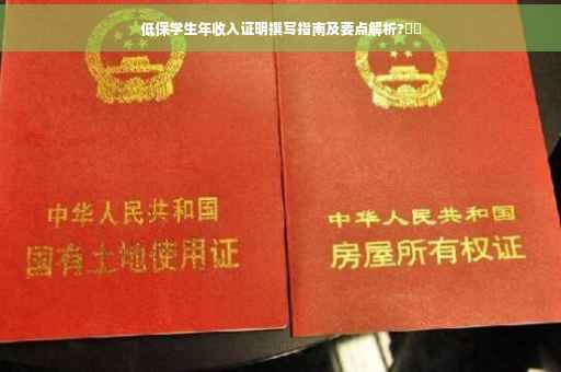 低保学生年收入证明撰写指南及要点解析?⚡️