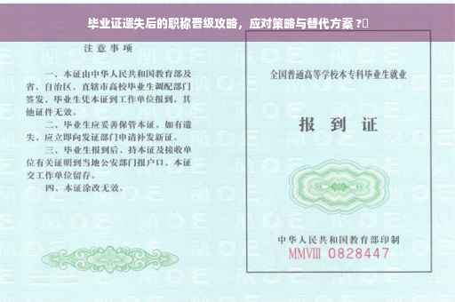 毕业证遗失后的职称晋级攻略，应对策略与替代方案 ?✨