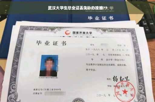 武汉大学生毕业证丢失补办攻略??