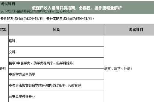 低保户收入证明开具指南，必要性、操作流程全解析