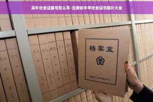 高中毕业证编号怎么写-云南省中学毕业证书图片大全