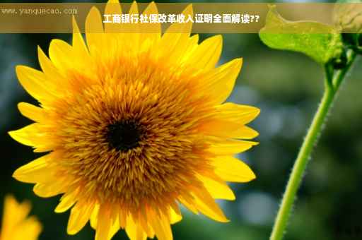 工商银行社保改革收入证明全面解读??