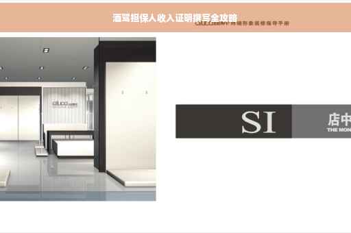 酒驾担保人收入证明撰写全攻略