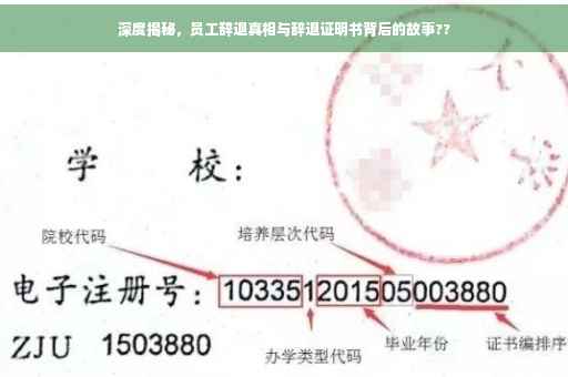 深度揭秘，员工辞退真相与辞退证明书背后的故事??
