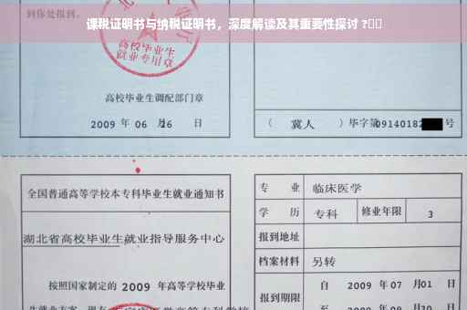 课税证明书与纳税证明书，深度解读及其重要性探讨 ?⚡️