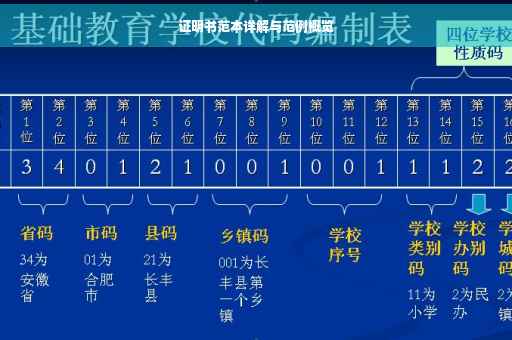 证明书范本详解与范例概览