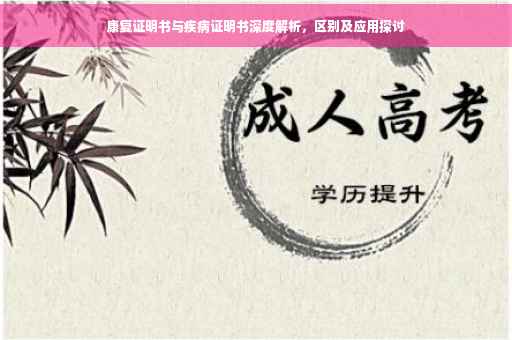 康复证明书与疾病证明书深度解析，区别及应用探讨
