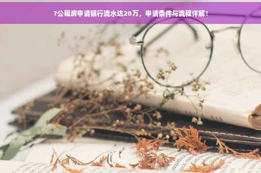 ?公租房申请银行流水达20万，申请条件与流程详解！