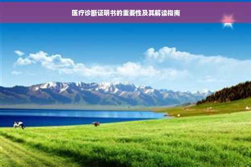 医疗诊断证明书的重要性及其解读指南