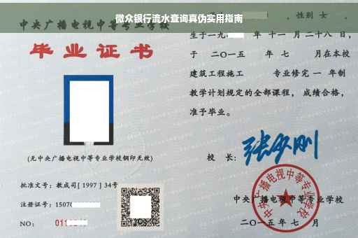 微众银行流水查询真伪实用指南