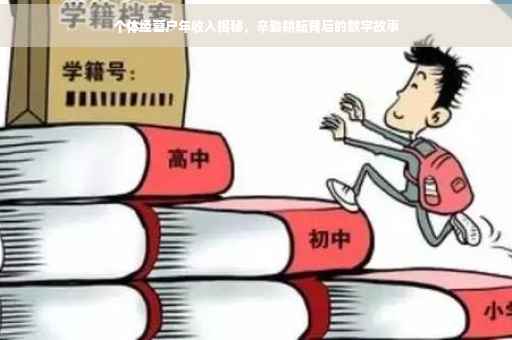 个体经营户年收入揭秘，辛勤耕耘背后的数字故事