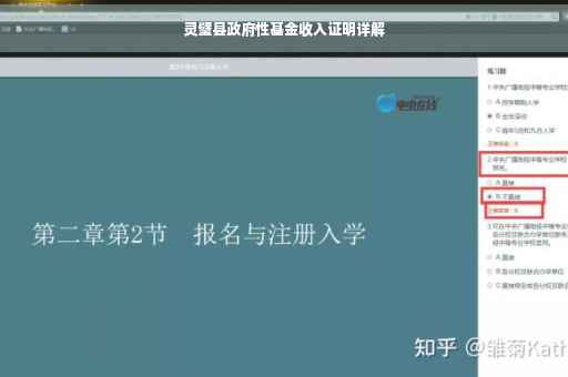 灵璧县政府性基金收入证明详解