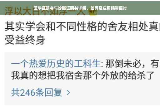 医学证明书与诊断证明书详解，差异及应用场景探讨