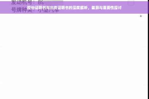 股份证明书与出资证明书的深度解析，差异与重要性探讨