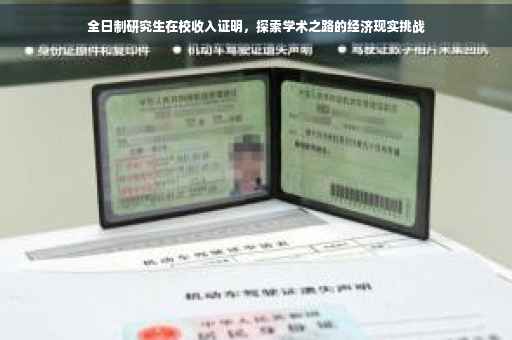 全日制研究生在校收入证明，探索学术之路的经济现实挑战