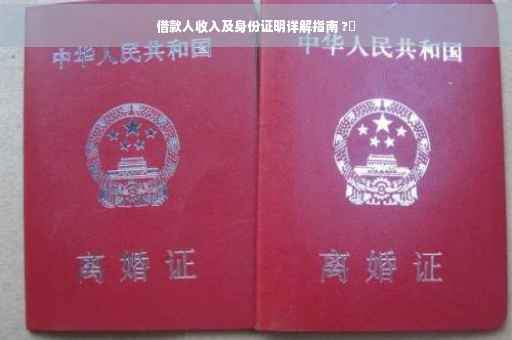 借款人收入及身份证明详解指南 ?✨