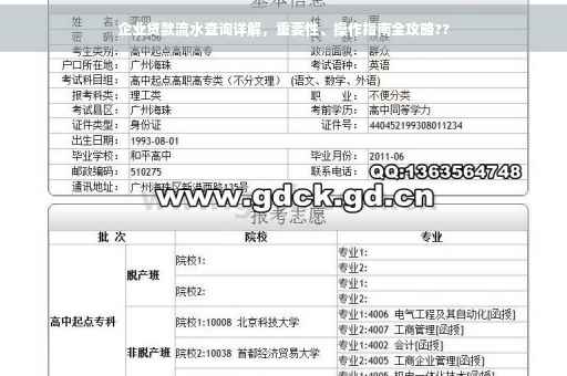企业贷款流水查询详解，重要性、操作指南全攻略??