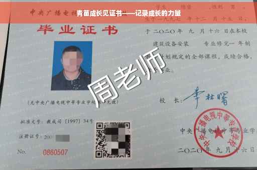 青苗成长见证书——记录成长的力量