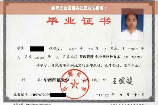 编号毕业证丢失处理方法指南 ?