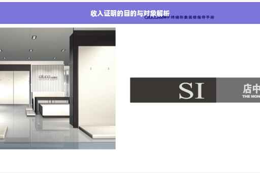 收入证明的目的与对象解析