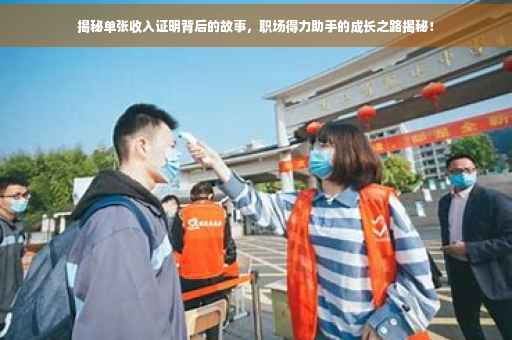 揭秘单张收入证明背后的故事，职场得力助手的成长之路揭秘！