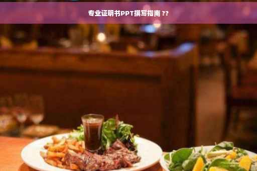 专业证明书PPT撰写指南 ??