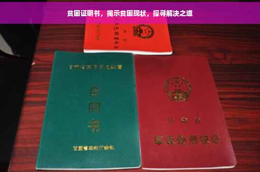 贫困证明书，揭示贫困现状，探寻解决之道