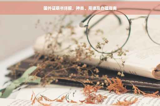 国外证明书详解，种类、用途及办理指南
