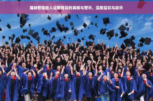 揭秘智障收入证明背后的真相与警示，深度探究与启示
