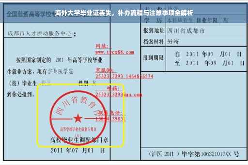 海外大学毕业证丢失，补办流程与注意事项全解析
